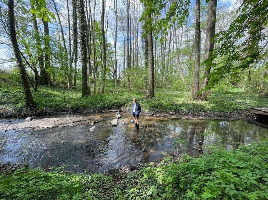 Wassermuehle Triglitz - Alleinlage Fuer Retreats, Workshops, Family & Friends Экстерьер фото